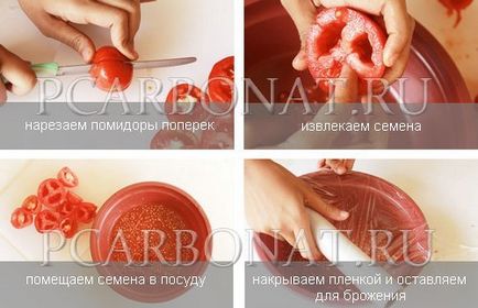 Cum să recoltați în mod corespunzător semințe de tomate pentru răsaduri