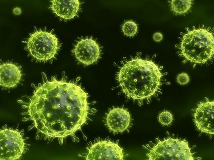 Cum intră virusul la un moment dat la ce temperatură moare o infecție acută?