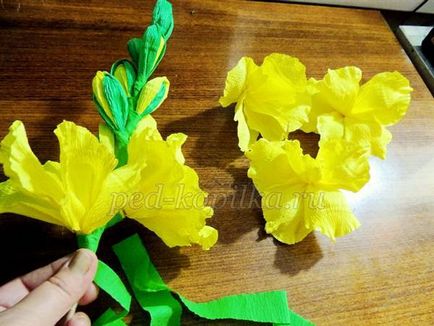 Cum sa faci gladiolus, un buchet de gladioli din hartie cu mainile tale