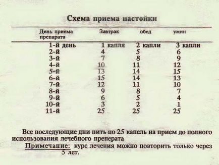 Як зробити тибетську часникову настойку