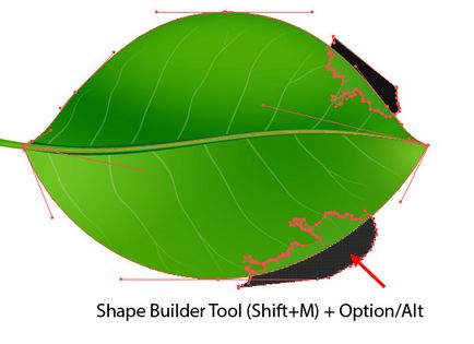 Cum se creează frunze vectoriale realiste în Adobe Illustrator - rboom