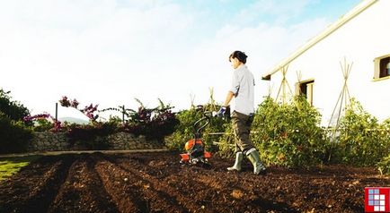 Cum de a alege un cultivator