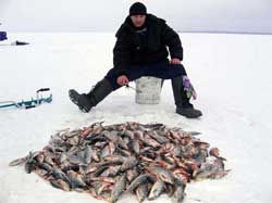 Як взимку наловити багато риби