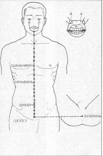 Канали і «кіноварні поля», її сайт-)