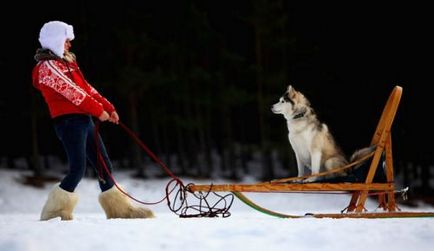 Slăbire, basm din pădure - odihnă activă în Karelia, excursii, aventuri, rafting și