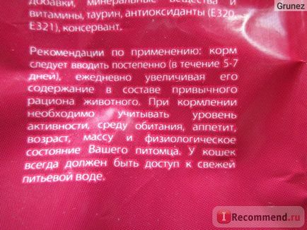 Furaj pentru pisici în timp util cu carne de vită - 