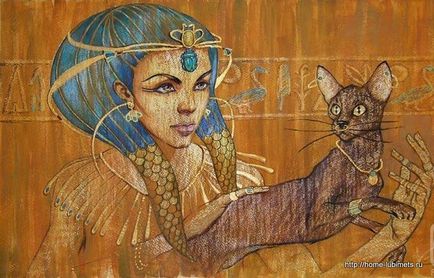 Pisicile artistului Gaella Abdel Fattah - un animal de casă
