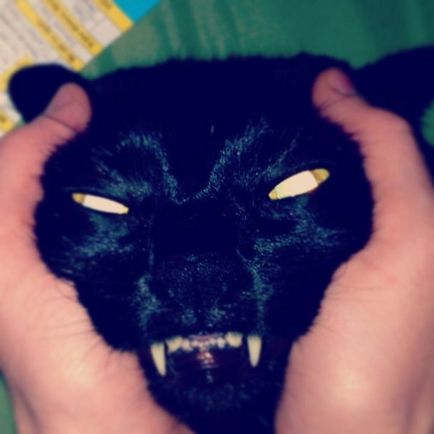 Cat și Satan vor surprinde lumea