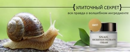 Krém csiga kivonatot előnyöket bőr, visszacsatolás és az eredmények (krém) Krém csiga kivonatot előnyöket bőr, visszacsatolás és eredmények