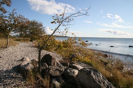 Curs pe Gotland, sau insulă-peisaj