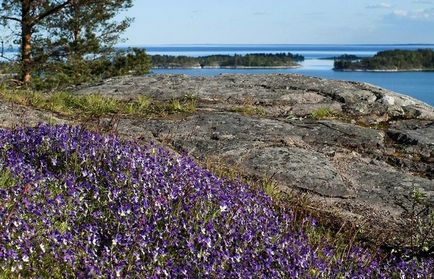 Ladoga-tó fényképeken (Ladoga-tó fotó) Ladoga-tó a fotókon