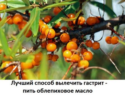 Лікування гастриту обліпиховою олією показання до застосування, сайт про методи лікування докторів