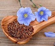 Tratamentul psoriazisului cu semințe de in