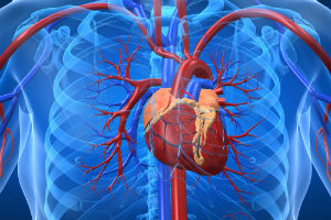 Tratamentul aterosclerozei stenosis a ramurilor aortice viscerale în mts 