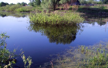 Ловля карася на річці