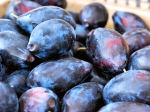 Cele mai bune soiuri de prune pentru regiunea Moscovei
