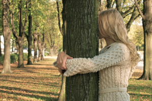 Magia copacilor este ceea ce vă poate ajuta, cum să aplicați