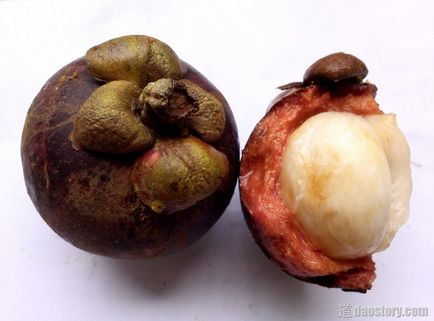 Mangosteen - un fruct tropical util, 道 daostory