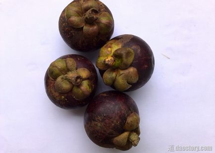 Mangosteen - un fruct tropical util, 道 daostory