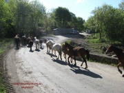 Routes-fennsík Demerdzhi völgy szellemek