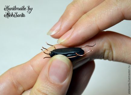 Mesterkurzus a bogarak megkötött polimer agyag - Fair Masters - kézzel készített, kézzel készített