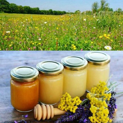 Méz erdők különféle hasznos tulajdonságok és ellenjavallatok 1