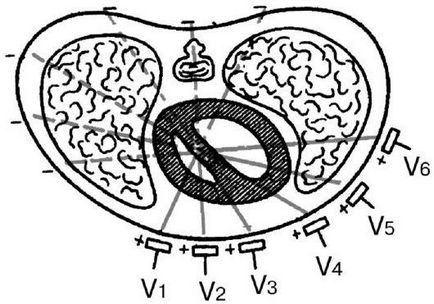 Metodă de înregistrare a electrocardiogramei