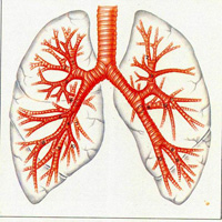 Чи можна курити при туберкульозі легенів