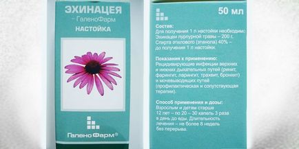 Echinacea tinktúra alkohol csepp - mint a bevétel egy gyermek vagy felnőtt, hogy fokozza immunitás