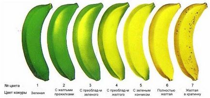 Un pic despre tehnologia de maturare a bananelor