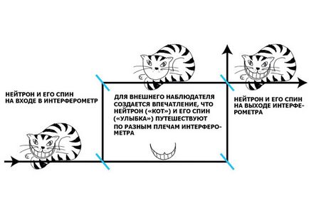 Новий парадокс квантової механіки явище - квантового чеширского кота, журнал популярна механіка