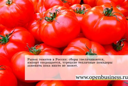 Redactarea pieței de tomate în Rusia