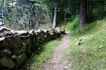 Один день на півночі Індії (50 фото)