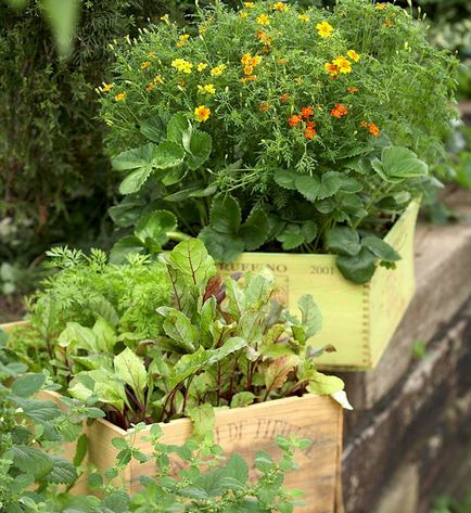 Город на балконі - 20 ідей дизайну для вирощування овочів і трав в контейнерах