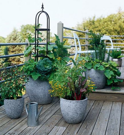 A veteményeskert az erkélyen - 20 tervezési ötletek növekvő zöldség és gyógynövények tartályban