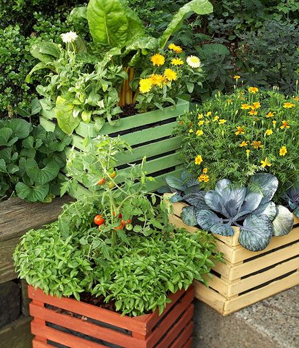 Город на балконі - 20 ідей дизайну для вирощування овочів і трав в контейнерах