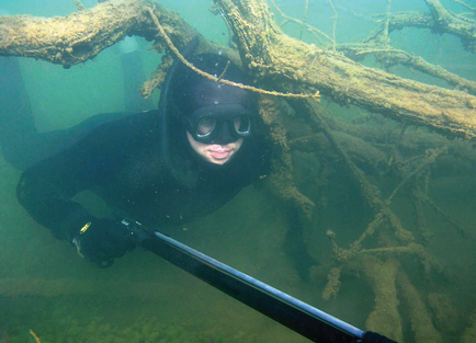 Veszélyek spearfishing