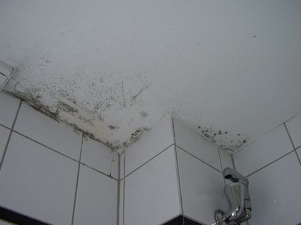 Caracteristici de impermeabilizare plafon în baie fără erori
