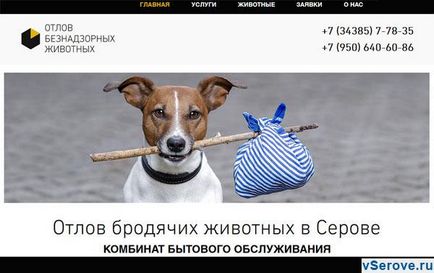 Відкрився сайт з вилову бродячих тварин, цікаве в Сєрова
