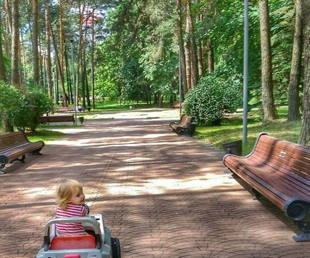 Парк челюскінців в Мінську ціни на атракціони, адреса, розклад