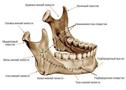 Fractura tratamentului maxilarului inferior, clasificare