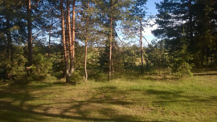 Prima noapte în pădure, cu bicicleta