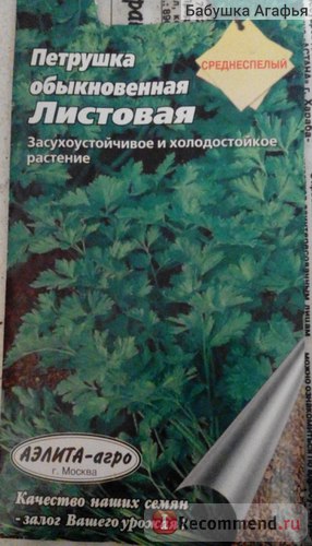 Петрушка звичайна листова ооо Аеліта - агро - «а вам хочеться петрушки петрушки листової