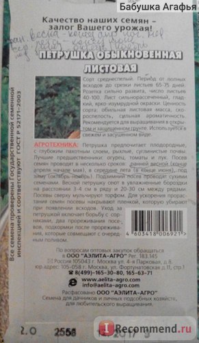 Петрушка звичайна листова ооо Аеліта - агро - «а вам хочеться петрушки петрушки листової