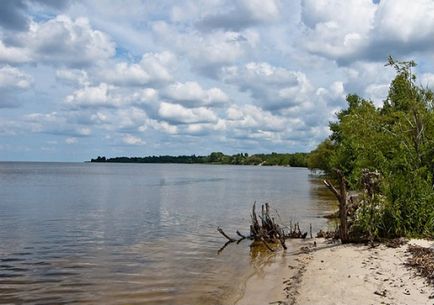 Пляжі на київському морі в Козаровичі, Глібівці, селищі Ровжі