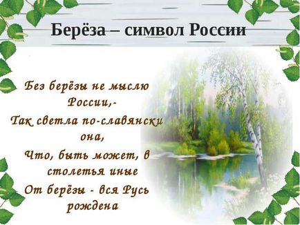 Чому береза ​​є сімволомУкаіни від древньої містики до сучасності