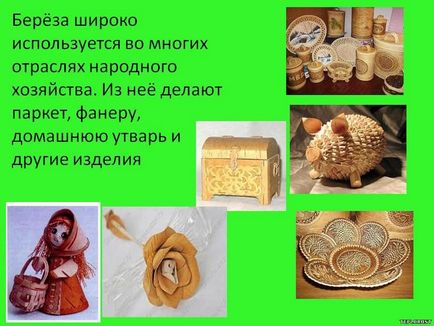 De ce mesteaccul este un simbol al Rusiei de la misticismul antic până în prezent