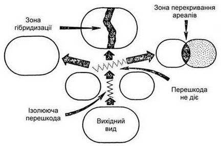 Populația ca unitate structurală și funcțională a unei specii, concepția unei specii și a populației - baza