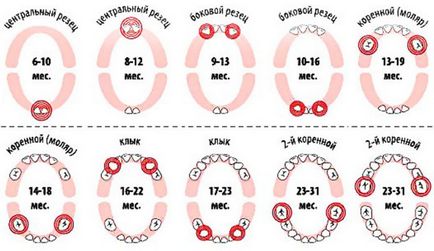 Az, hogy a kitörés tejfogak gyermekeknél