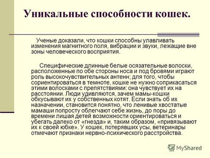 Презентація на тему розумові здібності кішки автор Бугайчук денис консультант снежіцкая